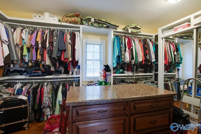 walk in closet with dark hardwood / wood-style flooring