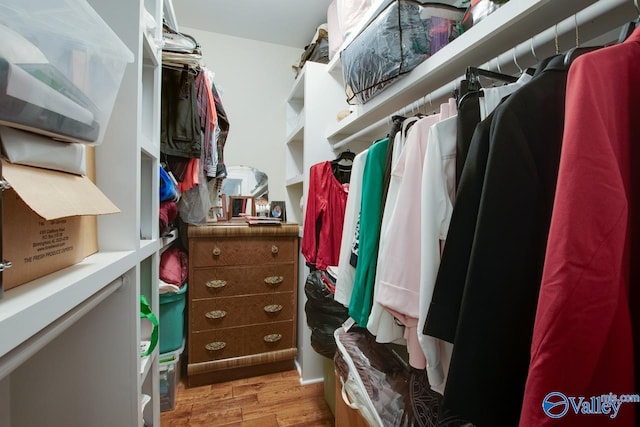 walk in closet featuring light wood-type flooring