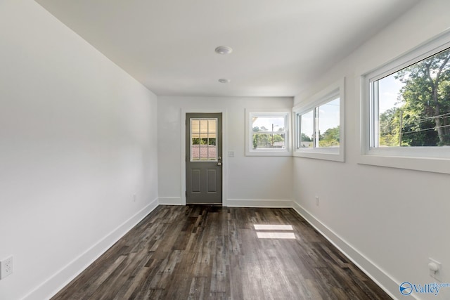 foyer entrance with dark hardwood / wood-style floors