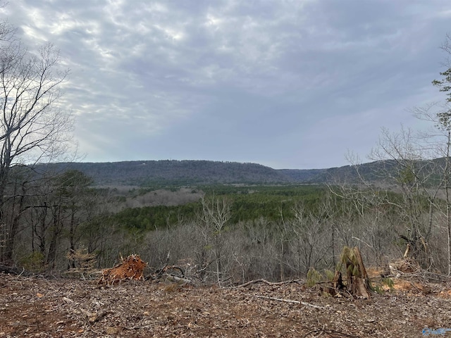 Listing photo 2 for 1450 County Road 137, Cedar Bluff AL 35959
