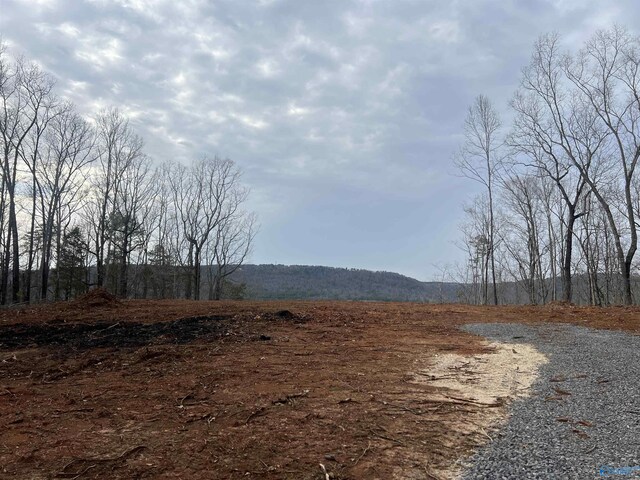 Listing photo 3 for 1450 County Road 137, Cedar Bluff AL 35959