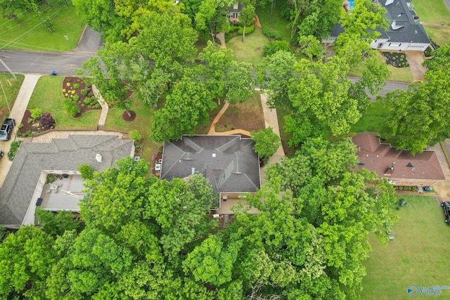 bird's eye view