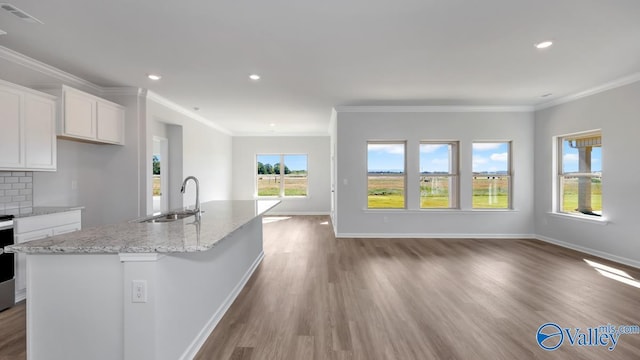 kitchen featuring white cabinetry, a kitchen island with sink, sink, and decorative backsplash