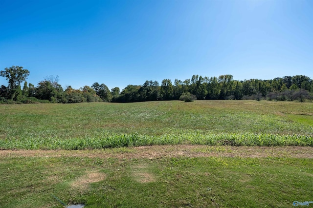 view of nature featuring a rural view