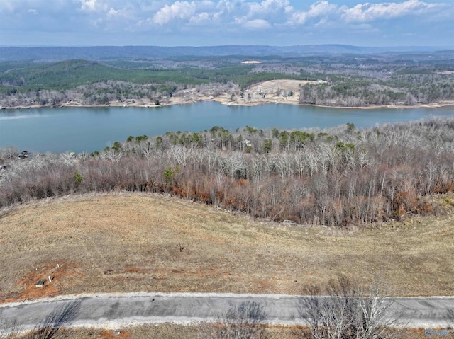 Listing photo 3 for LOT208 County Road 1022, Cedar Bluff AL 35959