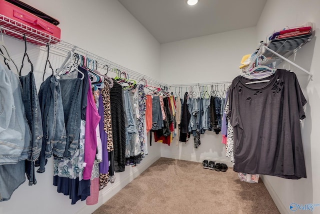 walk in closet with carpet floors