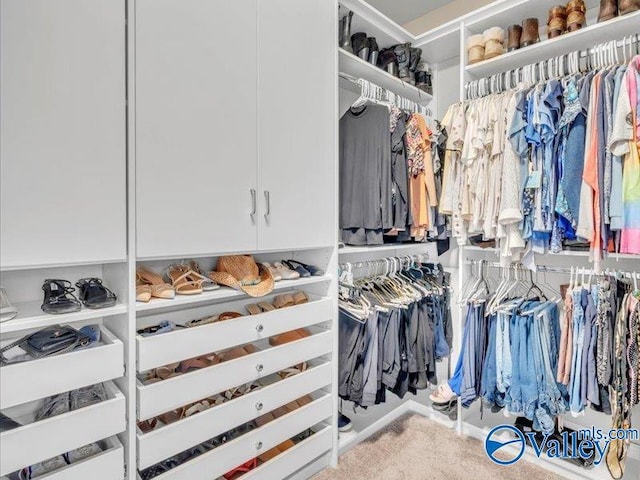 414 Wood Sage Ln, Huntsville, AL 35824 - spacious closet featuring carpet