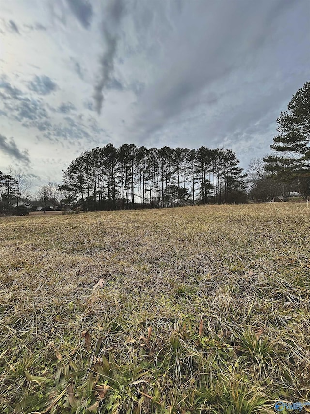 Listing photo 2 for LOT7 Woodland Rd, Boaz AL 35956