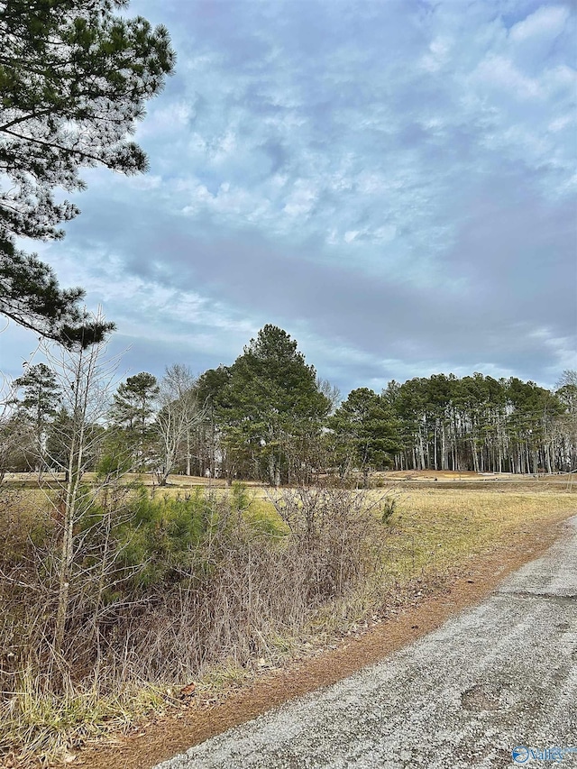 Listing photo 3 for LOT7 Woodland Rd, Boaz AL 35956