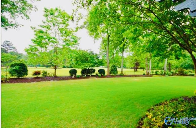 surrounding community featuring a yard