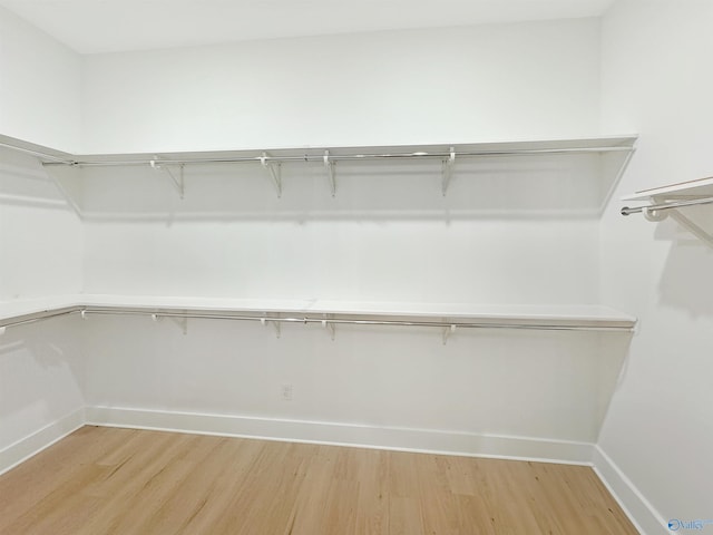 walk in closet featuring wood-type flooring