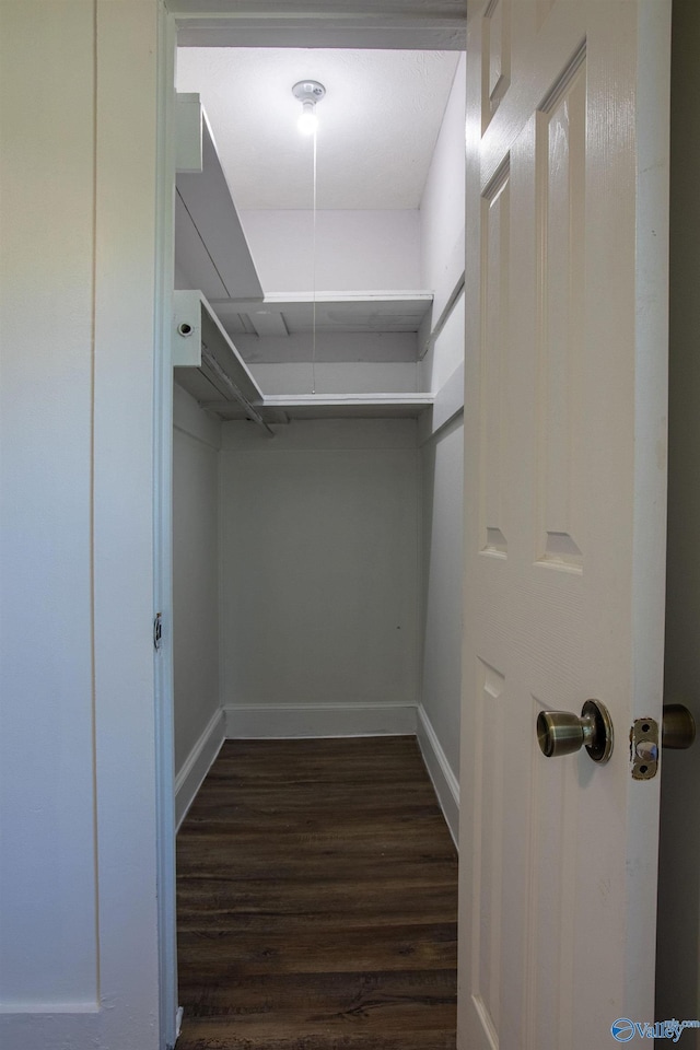 spacious closet featuring wood finished floors