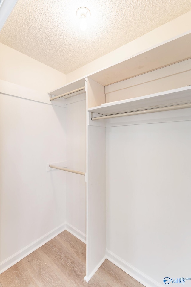 walk in closet featuring light hardwood / wood-style flooring