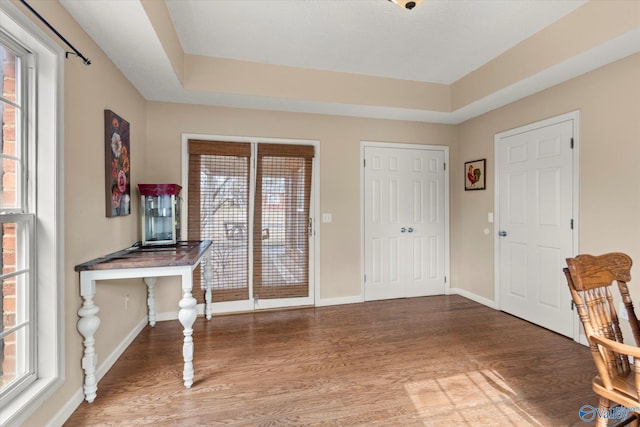 foyer entrance with a raised ceiling and wood-type flooring