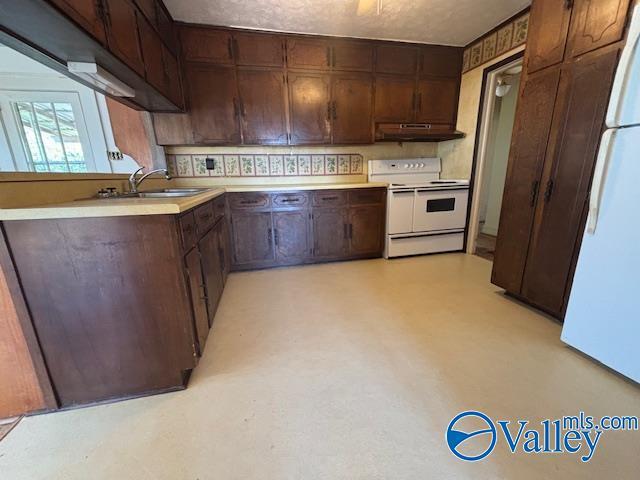 kitchen with a sink, white appliances, under cabinet range hood, and light countertops