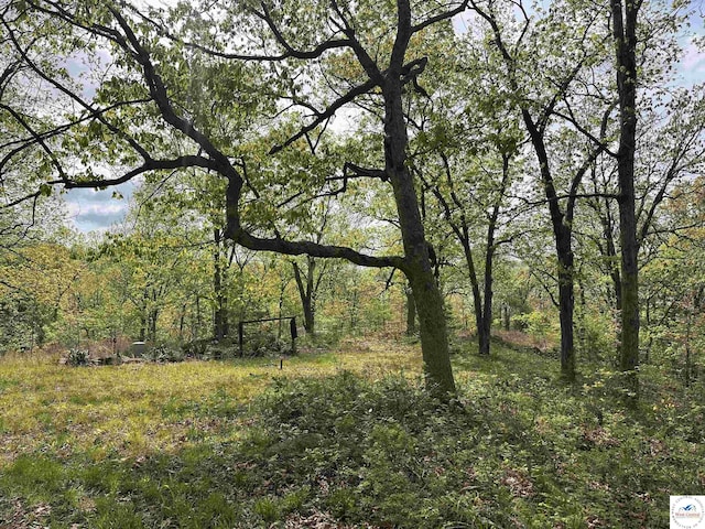 view of nature with a forest view