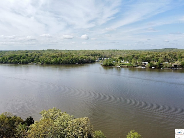 property view of water featuring a wooded view