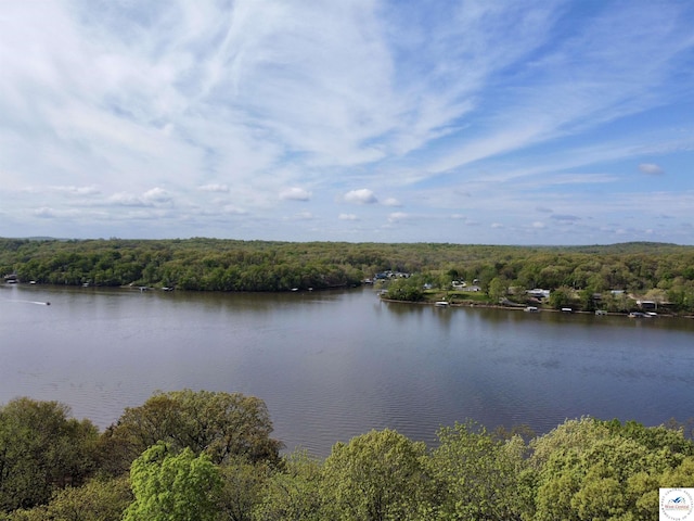 property view of water with a wooded view