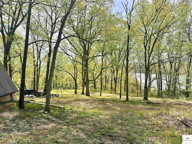 view of local wilderness with a wooded view