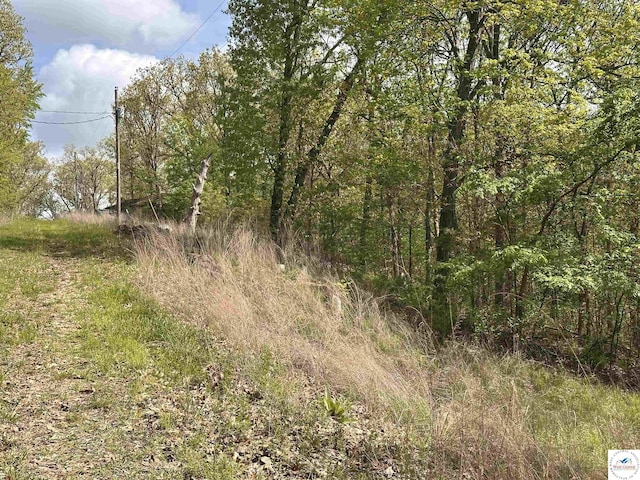 view of nature