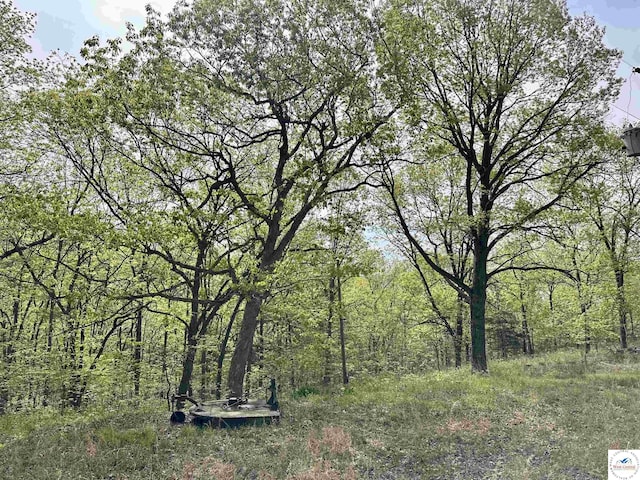 view of local wilderness with a wooded view