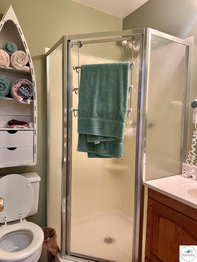 bathroom featuring toilet, a shower stall, vaulted ceiling, and vanity