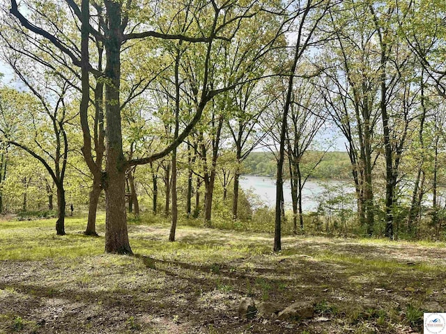 view of nature with a wooded view and a water view