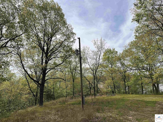 view of landscape featuring a view of trees