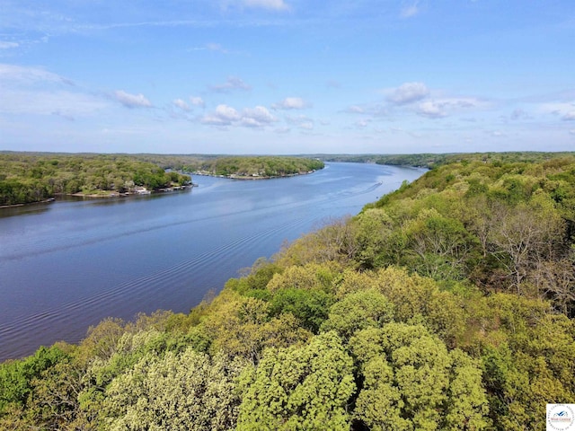 property view of water with a wooded view