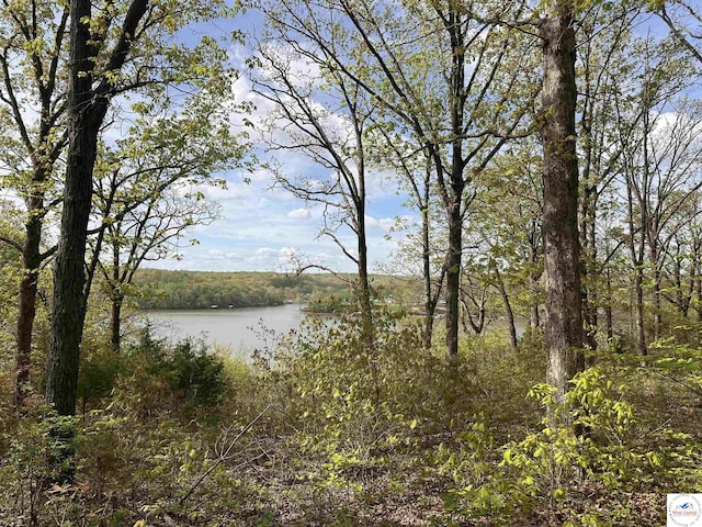water view featuring a forest view