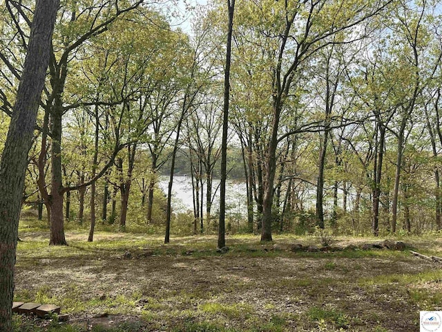 water view with a forest view