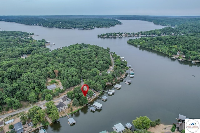 bird's eye view featuring a forest view and a water view