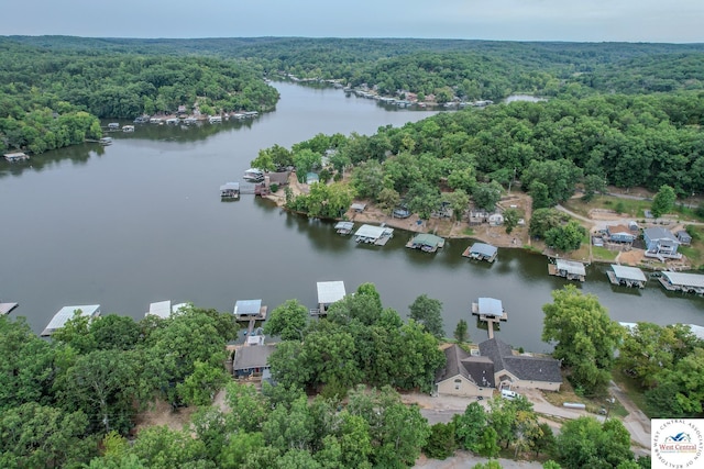 bird's eye view featuring a forest view and a water view