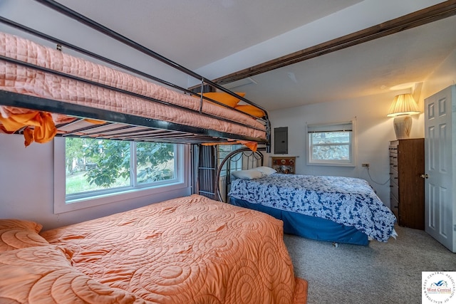 carpeted bedroom featuring electric panel and multiple windows