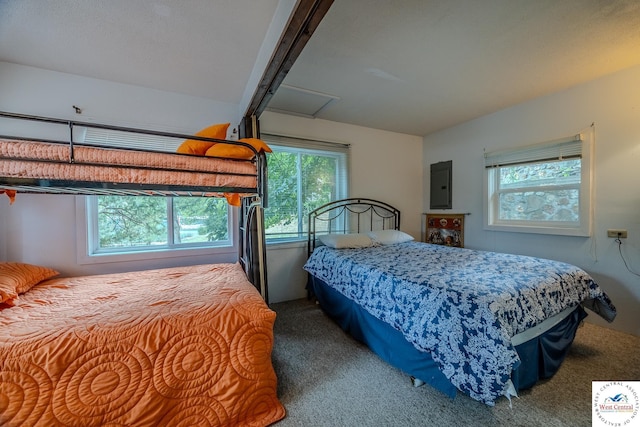 carpeted bedroom featuring electric panel