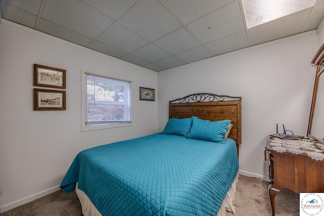 carpeted bedroom with a drop ceiling and baseboards