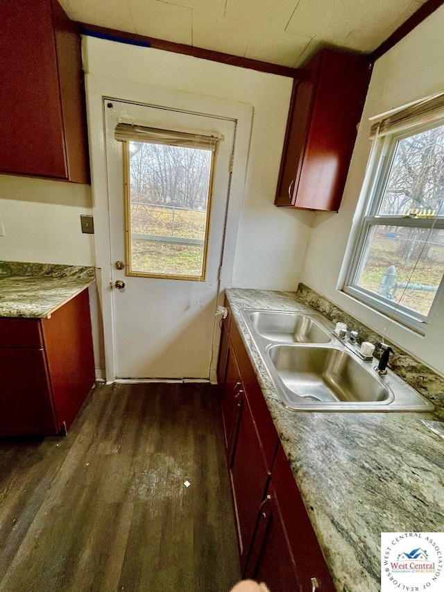 kitchen featuring dark wood finished floors, light countertops, a sink, and dark brown cabinets