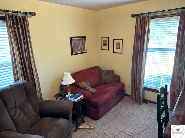 living area with a textured ceiling, carpet flooring, and baseboards