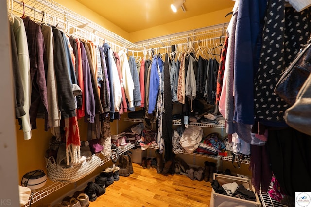 walk in closet with wood finished floors