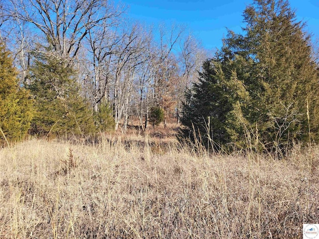 Neuharth, Edwards MO, 65326 land for sale