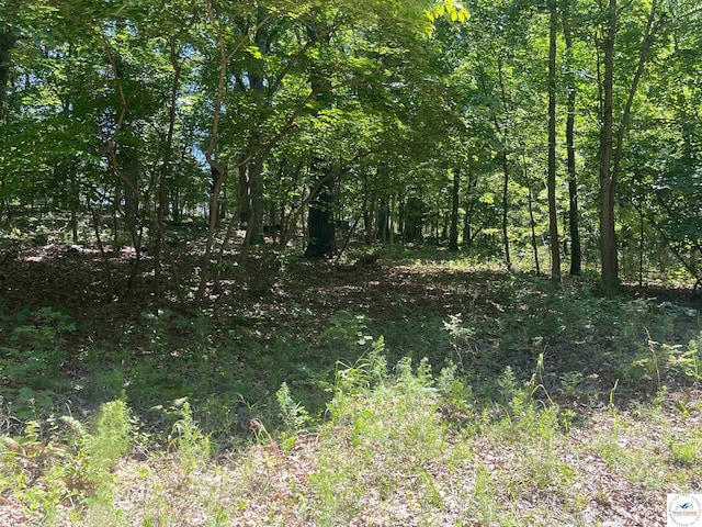 Listing photo 2 for TBD Wapiti, Edwards MO 65326