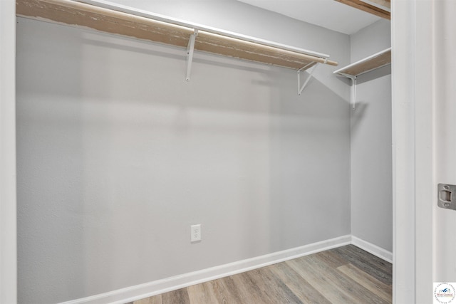 walk in closet featuring wood finished floors