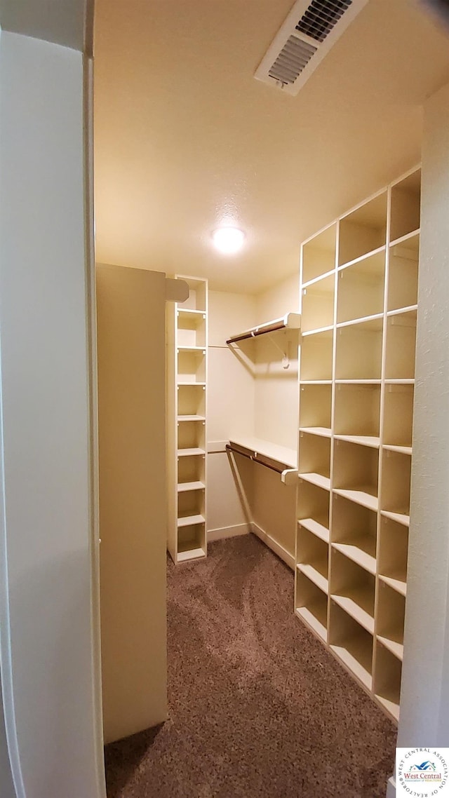 walk in closet featuring carpet floors and visible vents