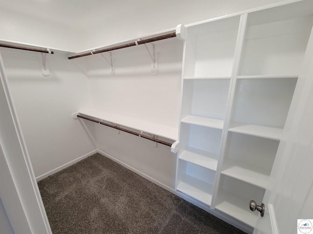 spacious closet featuring carpet flooring