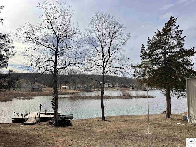 property view of water with a dock