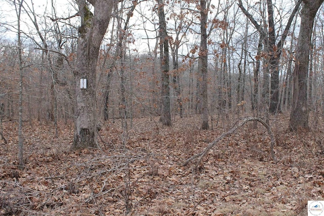 Ferro, Edwards MO, 65326 land for sale