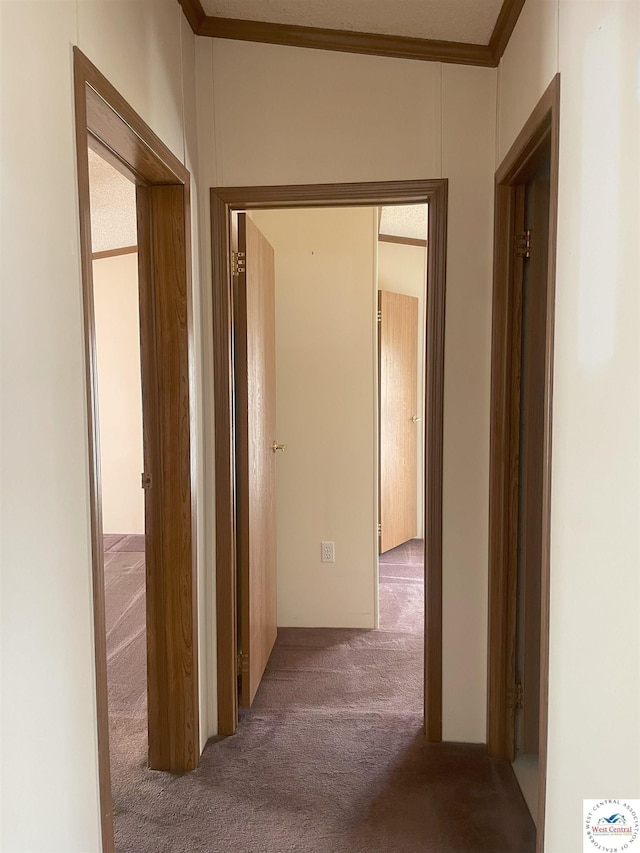 corridor with crown molding and carpet flooring