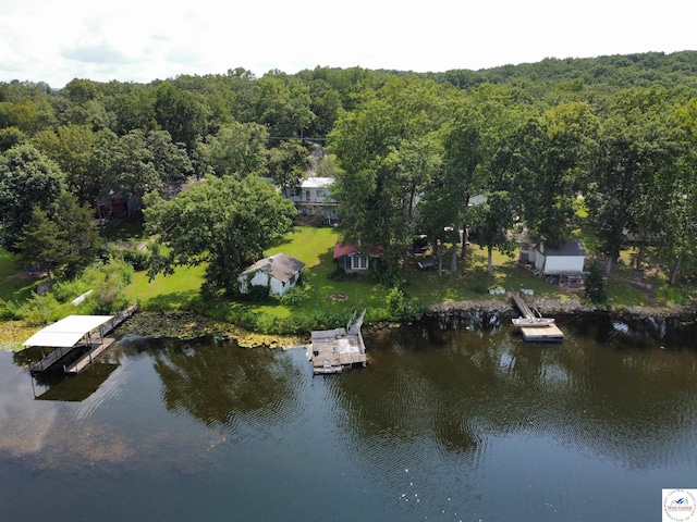 bird's eye view featuring a water view and a view of trees