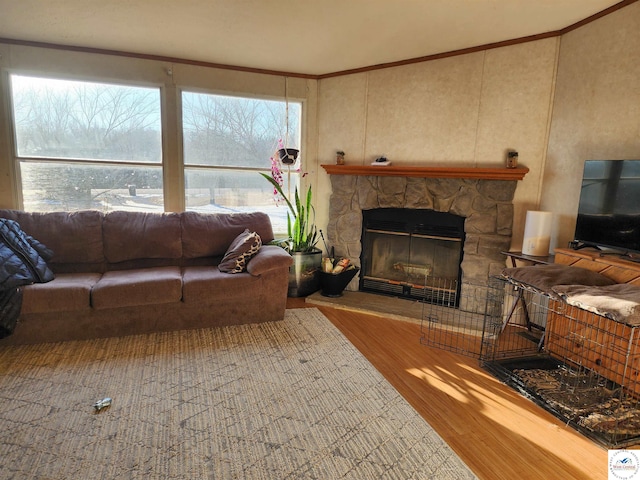 living room featuring a fireplace, ornamental molding, and wood finished floors