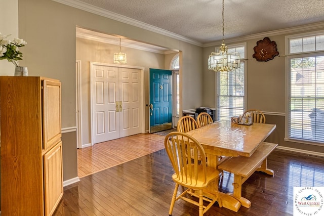 dining area with crown molding, a textured ceiling, and wood finished floors